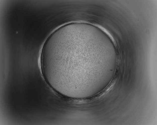 X0000087580959200705181159