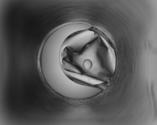 X0000087580960200705181159