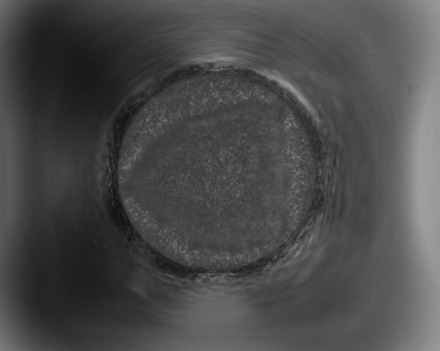 X0000087580967200705181158