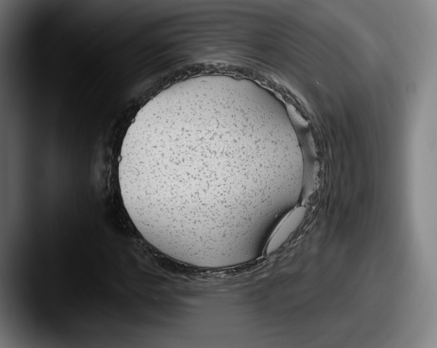X0000087580968200705181158