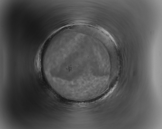 X0000087580973200705181158