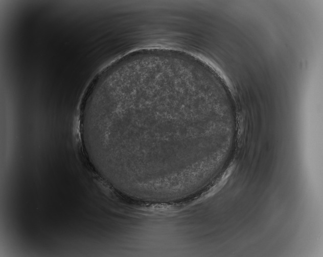 X0000087580974200705181158