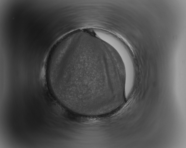 X0000087580975200705181158