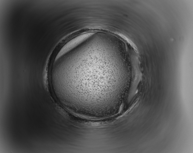 X0000087580976200705181158