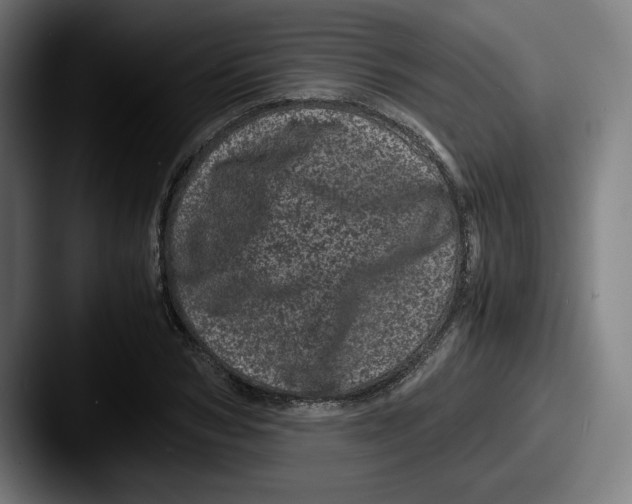 X0000087580978200705181158