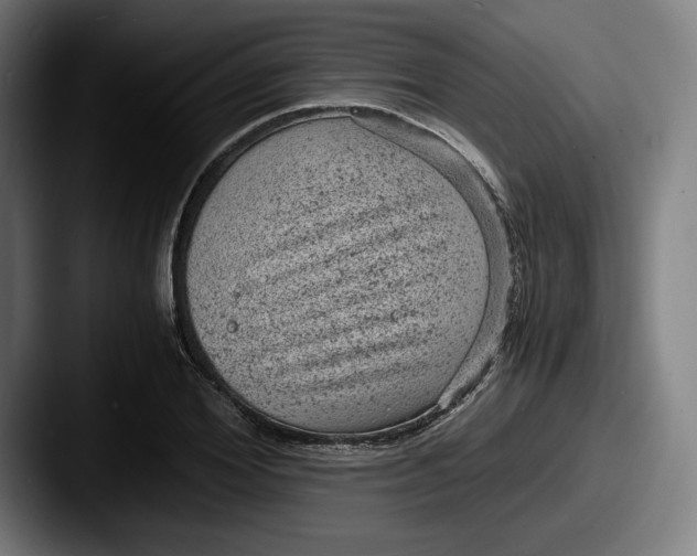 X0000087580980200705181158