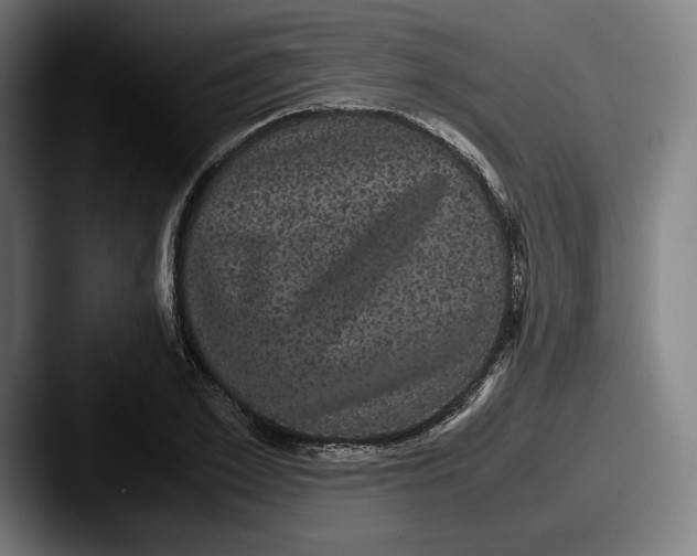 X0000087580981200705181158