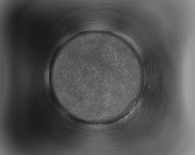 X0000087580982200705181158