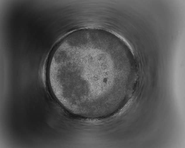 X0000087580983200705181158