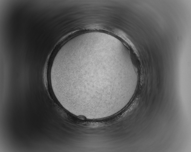 X0000087580984200705181158