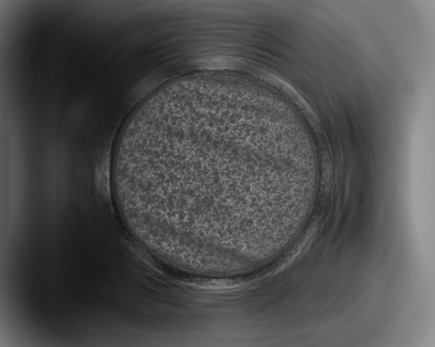 X0000087580986200705181158