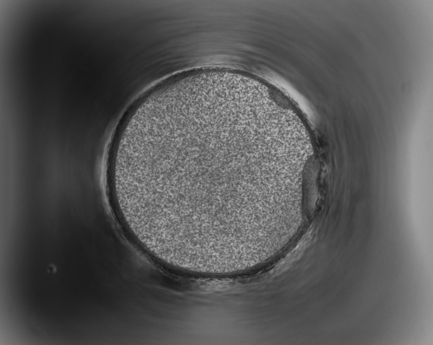 X0000087580991200705181158