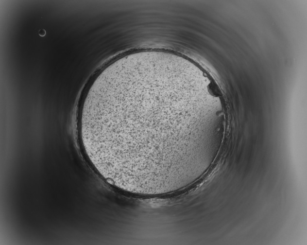 X0000087580992200705181158