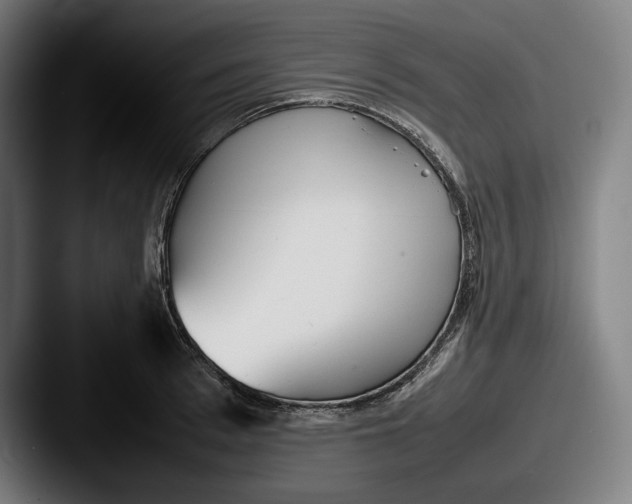 X0000087580993200705181158