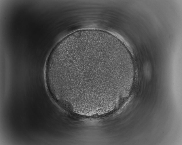 X0000087580998200705181158
