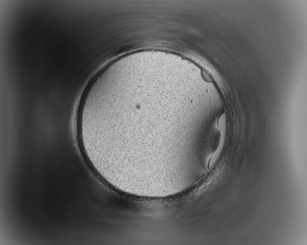 X0000087580999200705181158