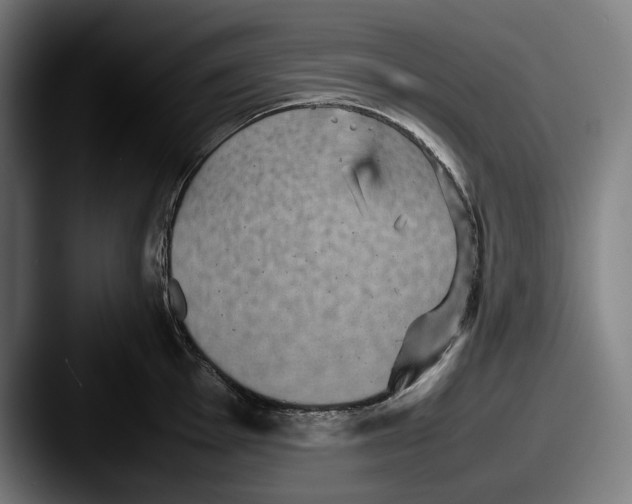 X0000087581001200705181158