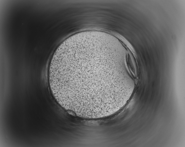X0000087581004200705181157