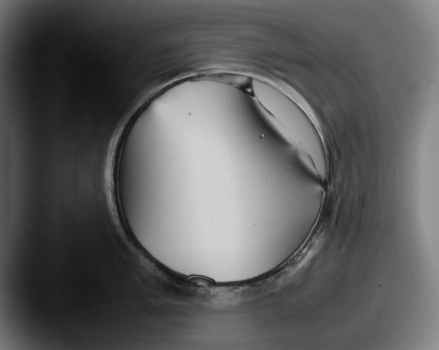 X0000087581005200705181157