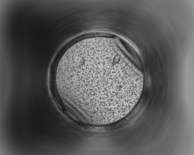 X0000087581006200705181157