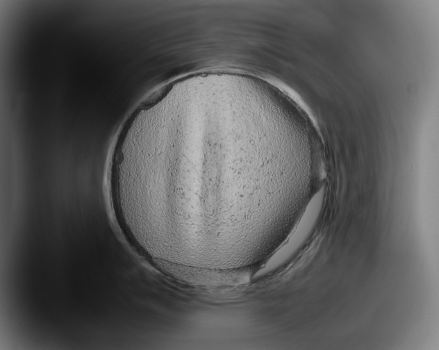 X0000087581007200705181157