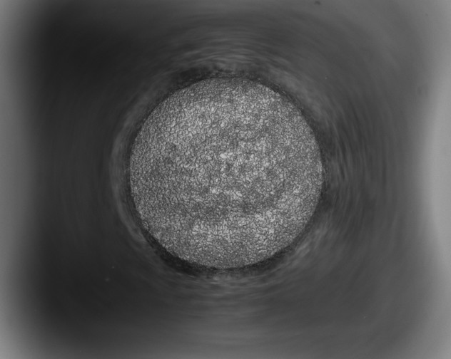 X0000087581009200705181157