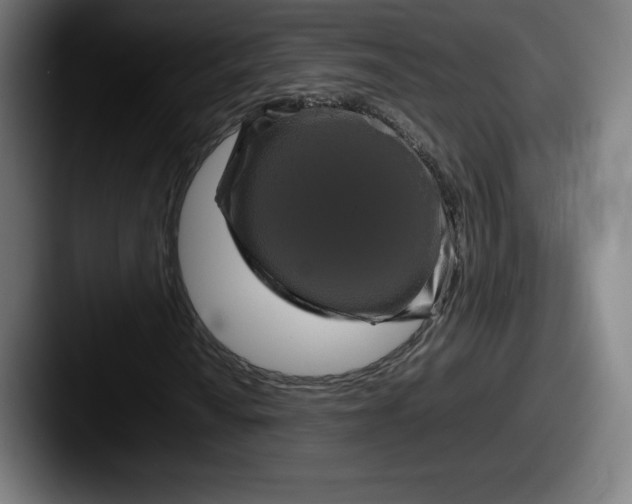 X0000087581010200705181157