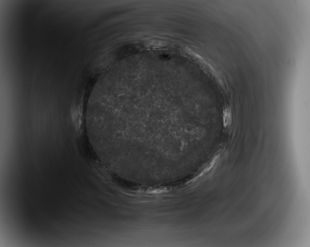 X0000087581011200705181157