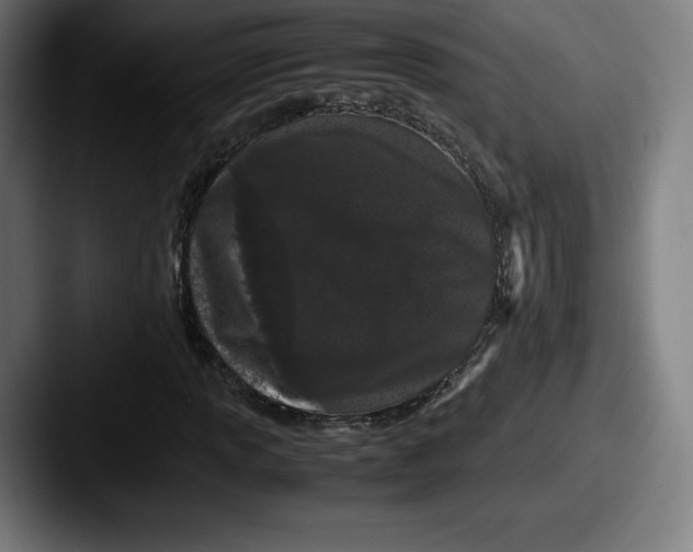 X0000087581013200705181157