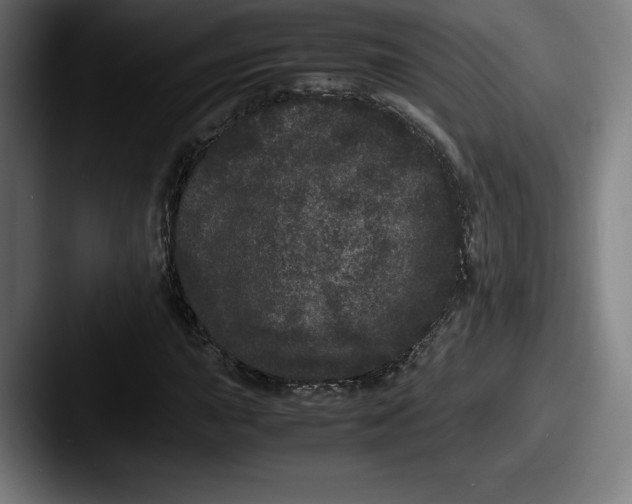 X0000087581015200705181157