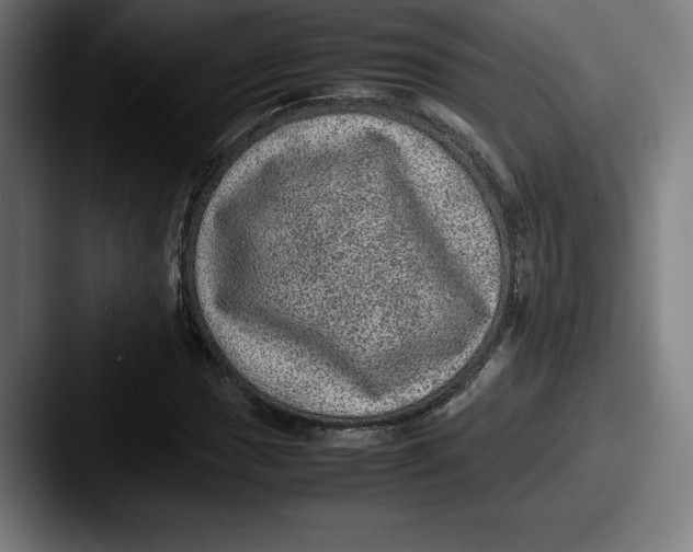 X0000087581017200705181157