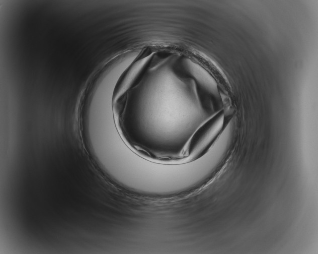 X0000087581018200705181157