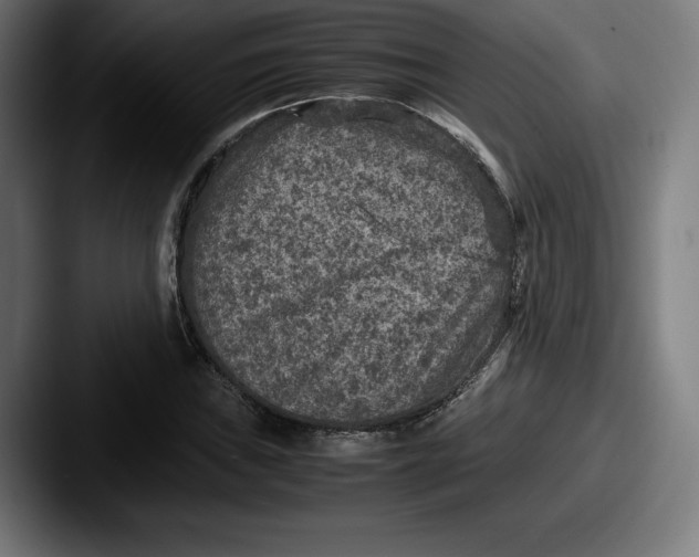 X0000087581019200705181157