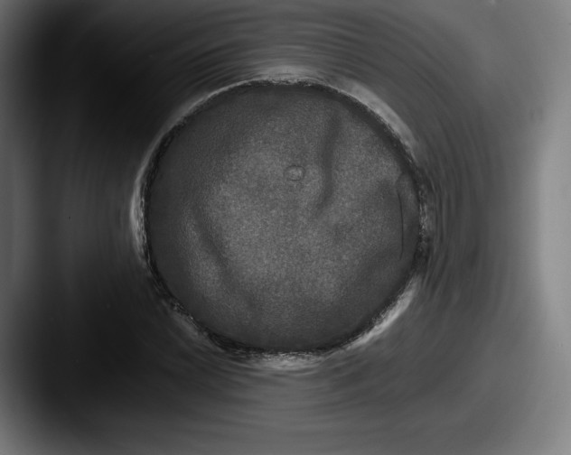 X0000087581022200705181157