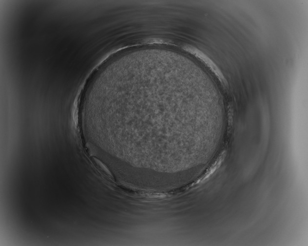 X0000087581023200705181157