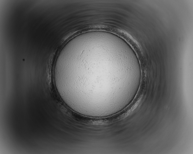 X0000087581025200705181157