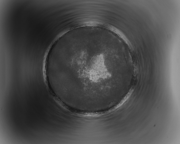 X0000087581026200705181157
