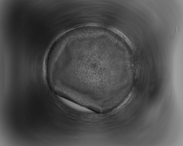 X0000087581027200705181157