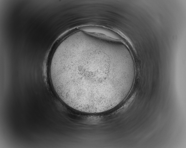 X0000087581029200705181157