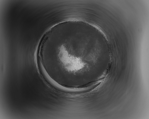 X0000087581030200705181157