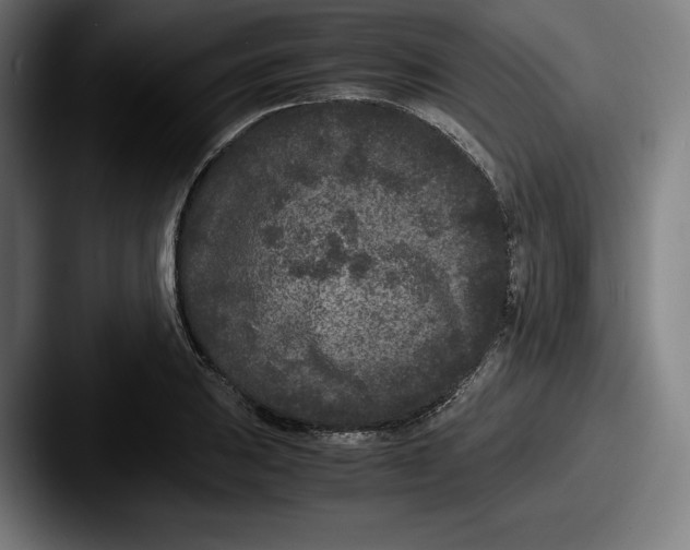 X0000087581031200705181157