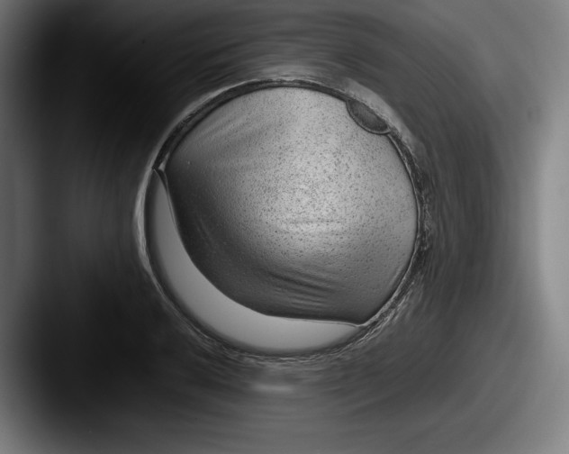 X0000087581032200705181157