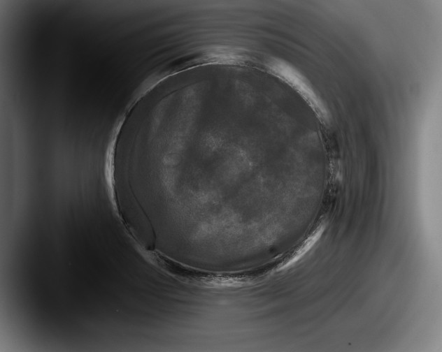 X0000087581034200705181157