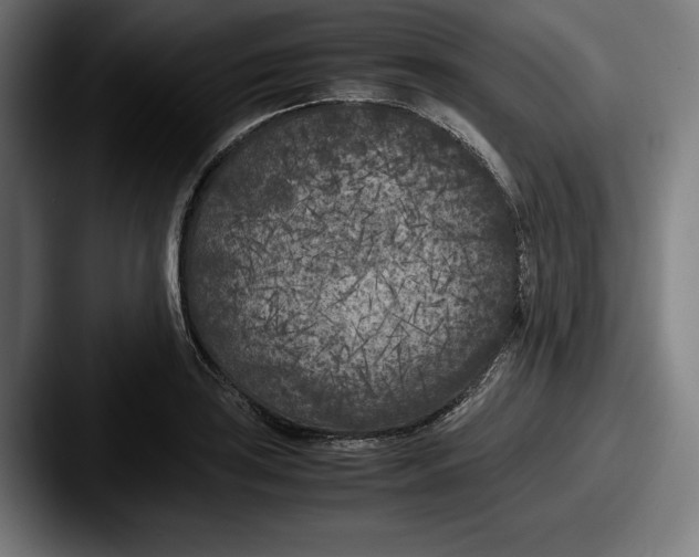 X0000087581035200705181157