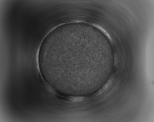 X0000087581039200705181157