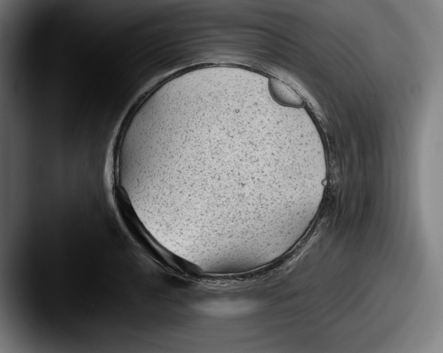 X0000087581040200705181157