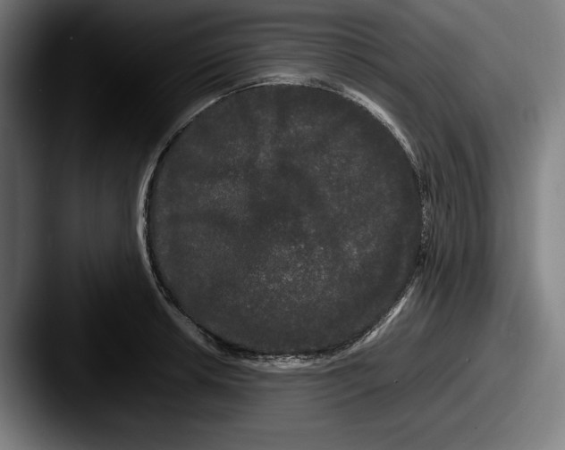 X0000087581042200705181157