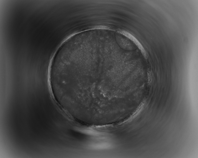 X0000087581043200705181157