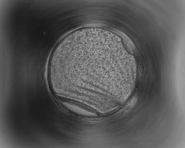 X0000087581044200705181157