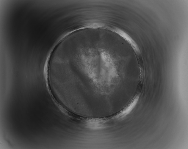 X0000087581046200705181157